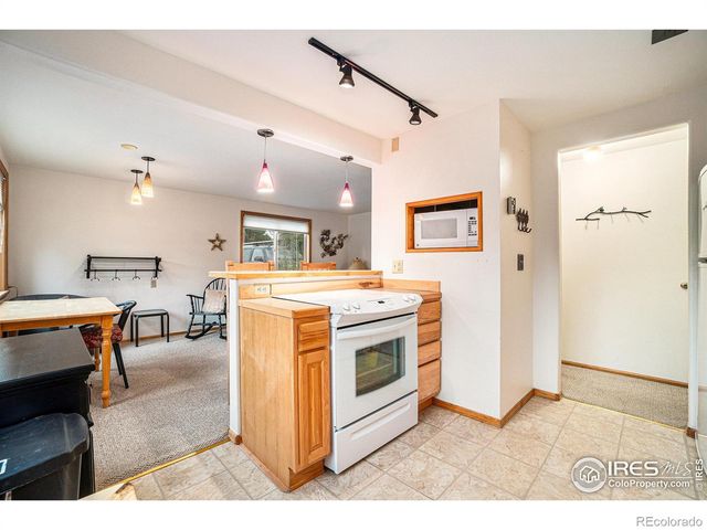 1111 Fairway Club Circle 4, Estes Park, CO 80517