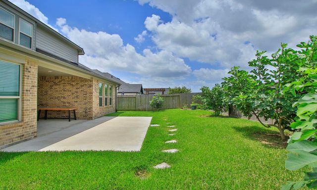 17419 Wayman Lily Lane, Hockley, TX 77447