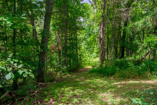 0 Bethlehem Rd, Springfield, TN 37172