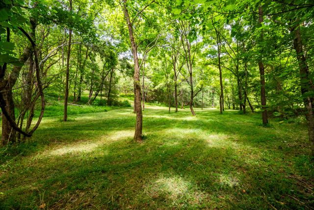 0 Bethlehem Rd, Springfield, TN 37172