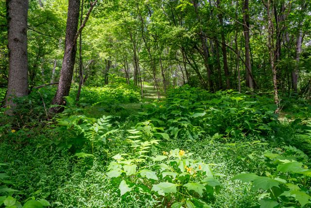 0 Bethlehem Rd, Springfield, TN 37172