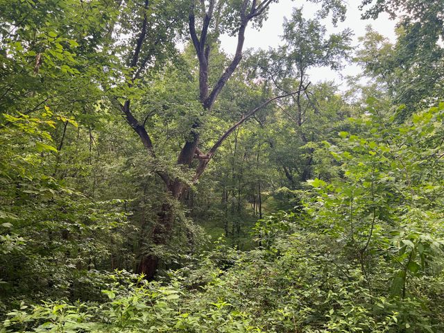 0 Bethlehem Rd, Springfield, TN 37172