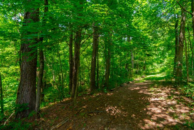 0 Bethlehem Rd, Springfield, TN 37172