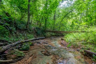 0 Bethlehem Rd, Springfield, TN 37172