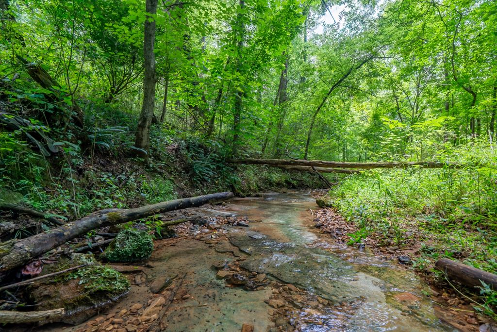 0 Bethlehem Rd, Springfield, TN 37172
