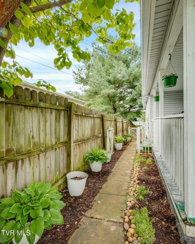 809 North Boone Street, Johnson City, TN 37604