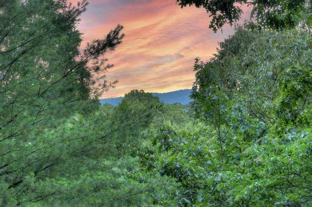 97 Doyle Carder Parkway, Cherry Log, GA 30522