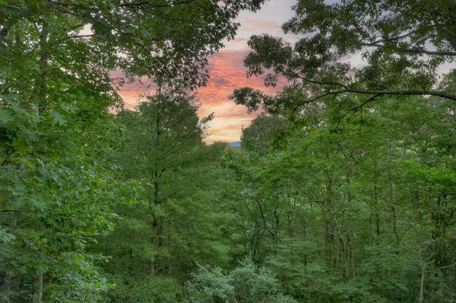 97 Doyle Carder Parkway, Cherry Log, GA 30522