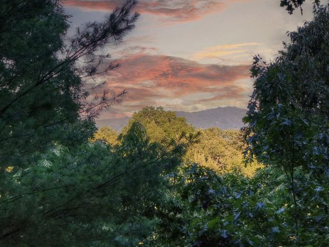 97 Doyle Carder Parkway, Cherry Log, GA 30522