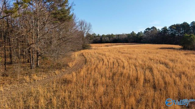 2073 County Road 213, Florence, AL 35633