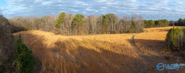 2073 County Road 213, Florence, AL 35633