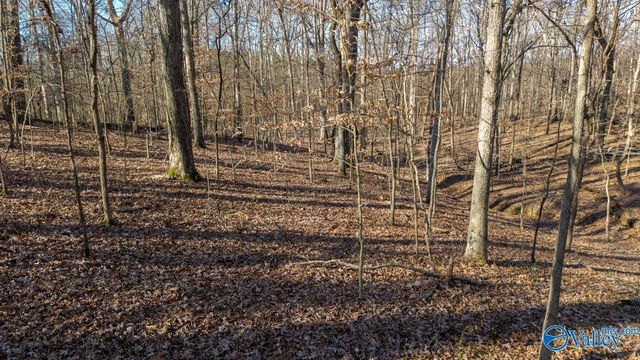 2073 County Road 213, Florence, AL 35633