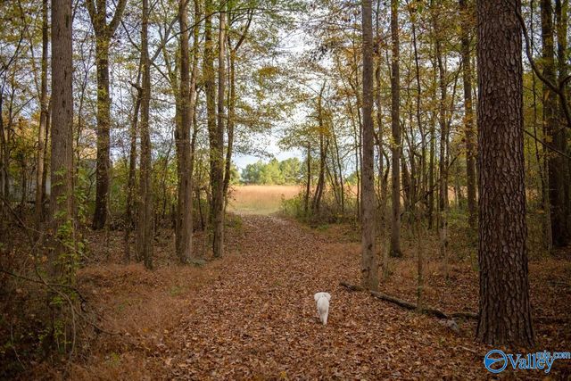 2073 County Road 213, Florence, AL 35633