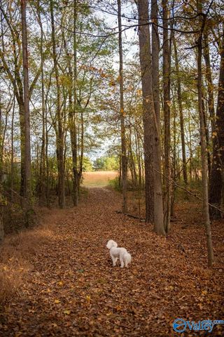 2073 County Road 213, Florence, AL 35633