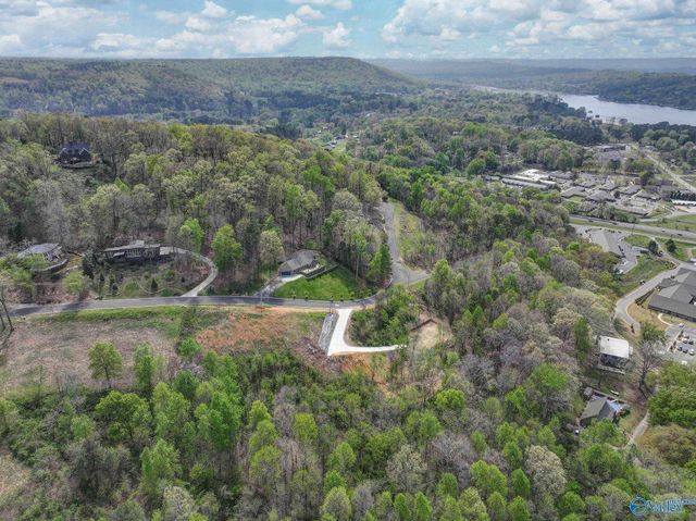 3018 Woodvue Road, Guntersville, AL 35976