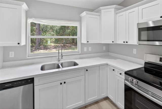 12 GUAVA TERRACE RADIAL, Ocklawaha, FL 32179