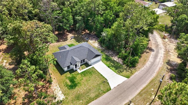 12 GUAVA TERRACE RADIAL, Ocklawaha, FL 32179