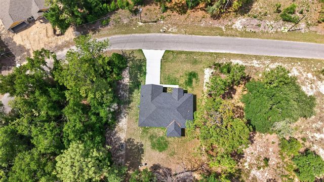 12 GUAVA TERRACE RADIAL, Ocklawaha, FL 32179