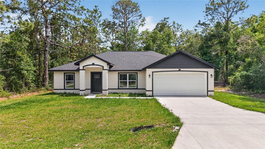 12 GUAVA TERRACE RADIAL, Ocklawaha, FL 32179