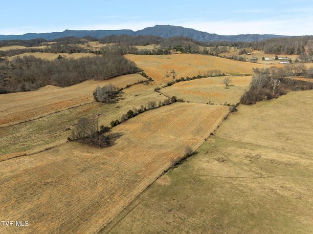 Lot 2 Tbd Tennessee 93, Fall Branch, TN 37656