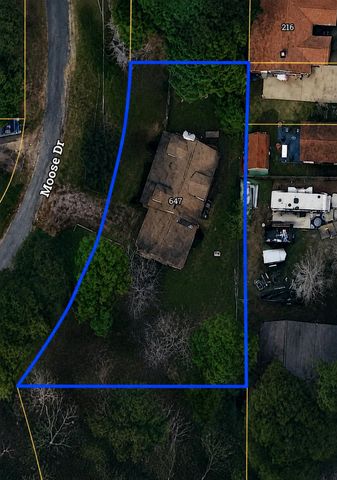 647 Moose Drive, Onalaska, TX 77360