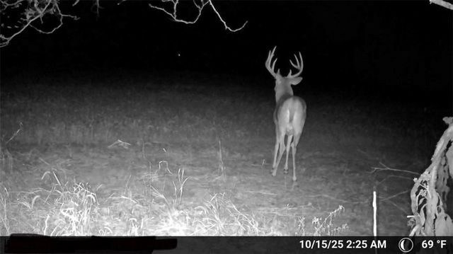 000 SE Virginia Road, Kincaid, KS 66039