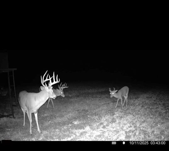 000 SE Virginia Road, Kincaid, KS 66039