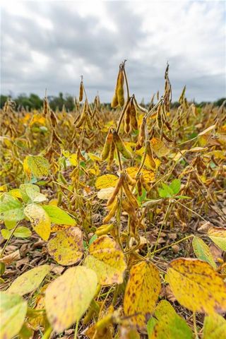 000 SE Virginia Road, Kincaid, KS 66039