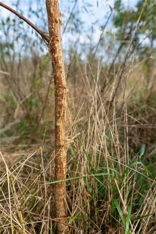 000 SE Virginia Road, Kincaid, KS 66039