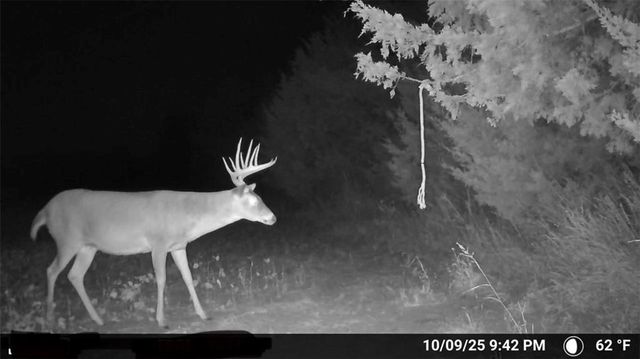 000 SE Virginia Road, Kincaid, KS 66039