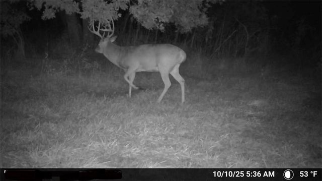 000 SE Virginia Road, Kincaid, KS 66039