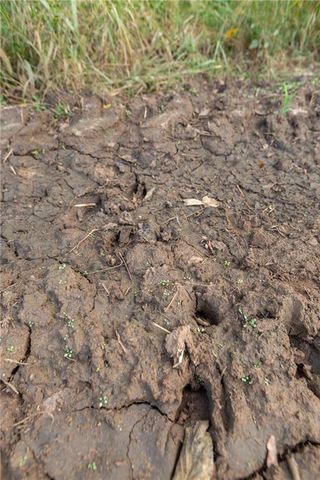 000 SE Virginia Road, Kincaid, KS 66039