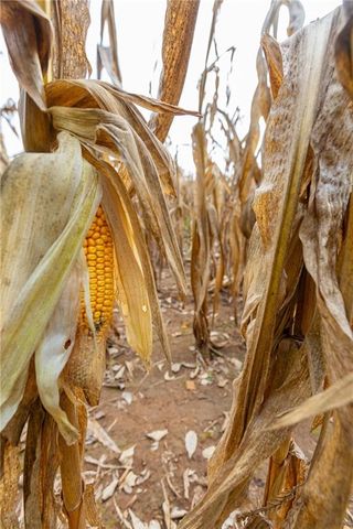 000 SE Virginia Road, Kincaid, KS 66039