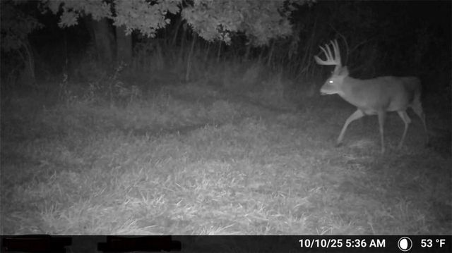 000 SE Virginia Road, Kincaid, KS 66039