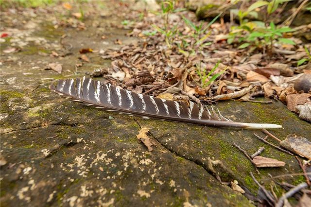 000 SE Virginia Road, Kincaid, KS 66039