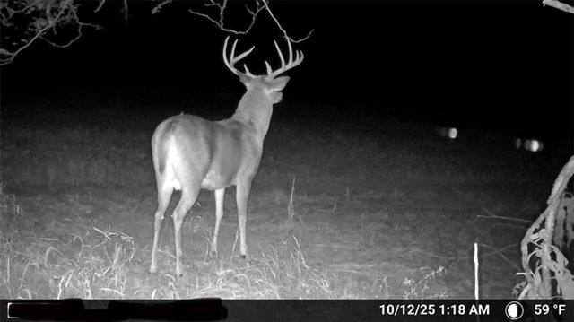 000 SE Virginia Road, Kincaid, KS 66039