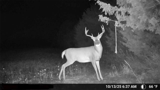 000 SE Virginia Road, Kincaid, KS 66039