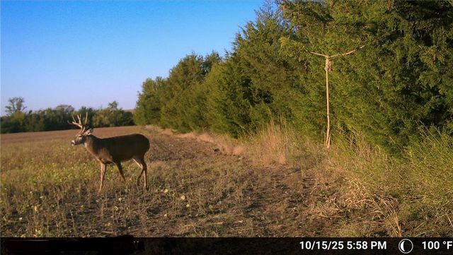 000 SE Virginia Road, Kincaid, KS 66039