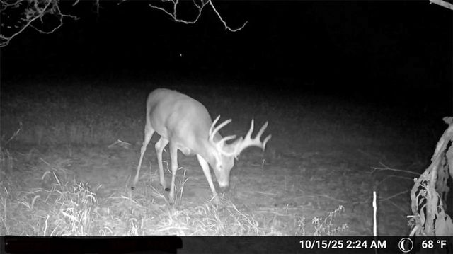 000 SE Virginia Road, Kincaid, KS 66039