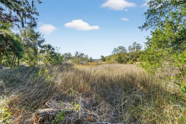 7478 Belfast Keller Road, Richmond Hill, GA 31324