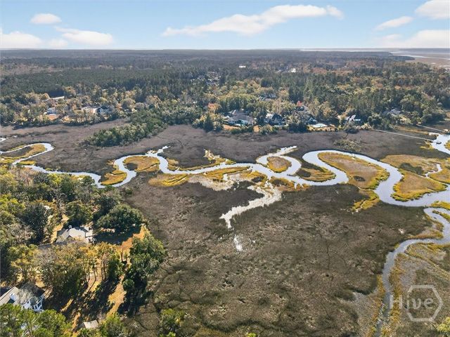 7478 Belfast Keller Road, Richmond Hill, GA 31324