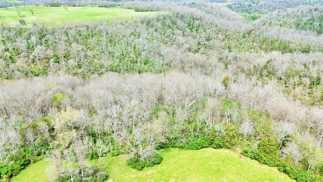 2300 Oregon Road, Salvisa, KY 40372