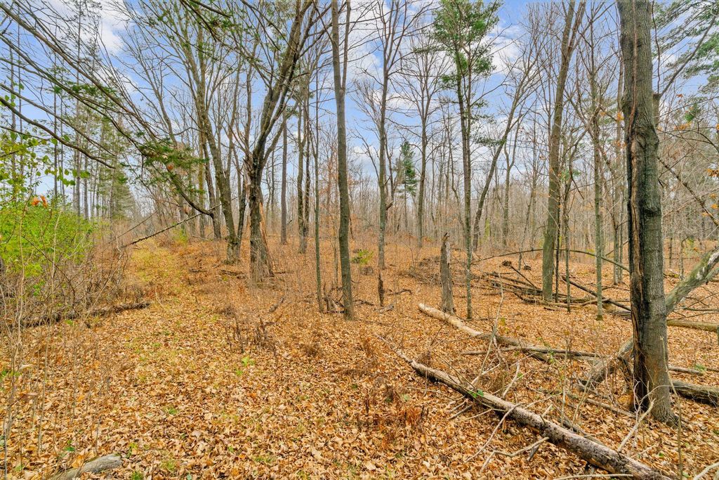 TBD 110th Street, Luck, WI 54853 — photo 2
