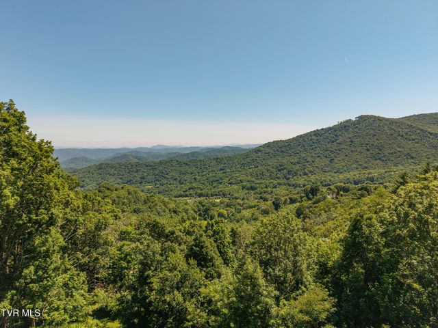 220 Roanwood Road, Roan Mountain, TN 37687