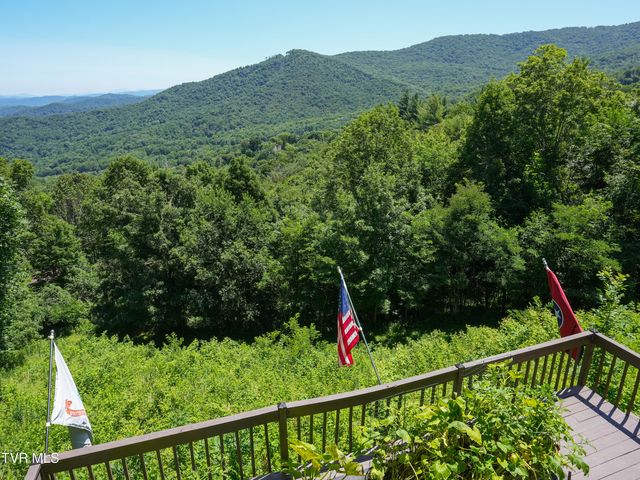 220 Roanwood Road, Roan Mountain, TN 37687