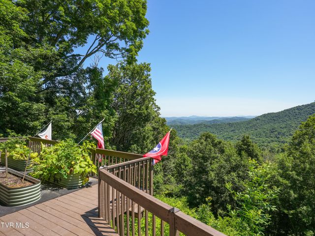 220 Roanwood Road, Roan Mountain, TN 37687
