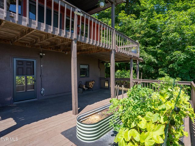 220 Roanwood Road, Roan Mountain, TN 37687