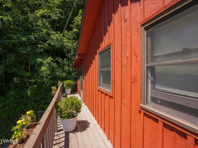 220 Roanwood Road, Roan Mountain, TN 37687