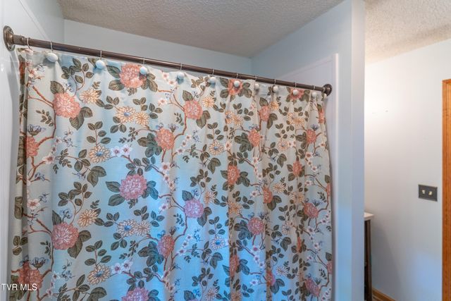 220 Roanwood Road, Roan Mountain, TN 37687