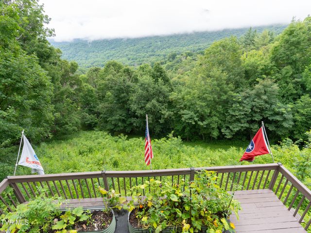 220 Roanwood Road, Roan Mountain, TN 37687